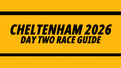 Image for Betfair's guide to day two at Cheltenham
